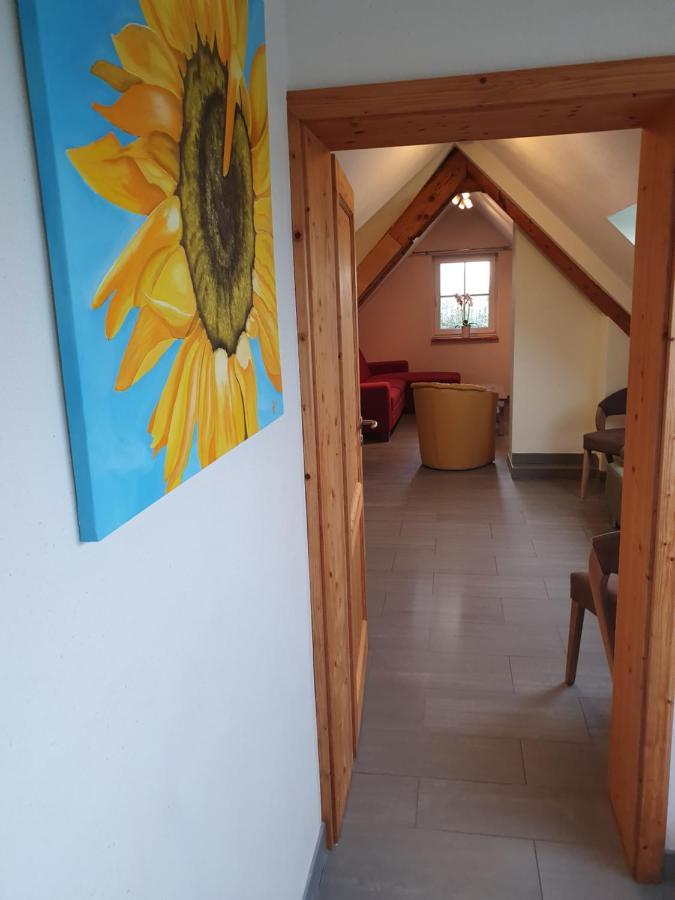 Energetischer Urlaub In Der Eifel Germeter Exterior photo